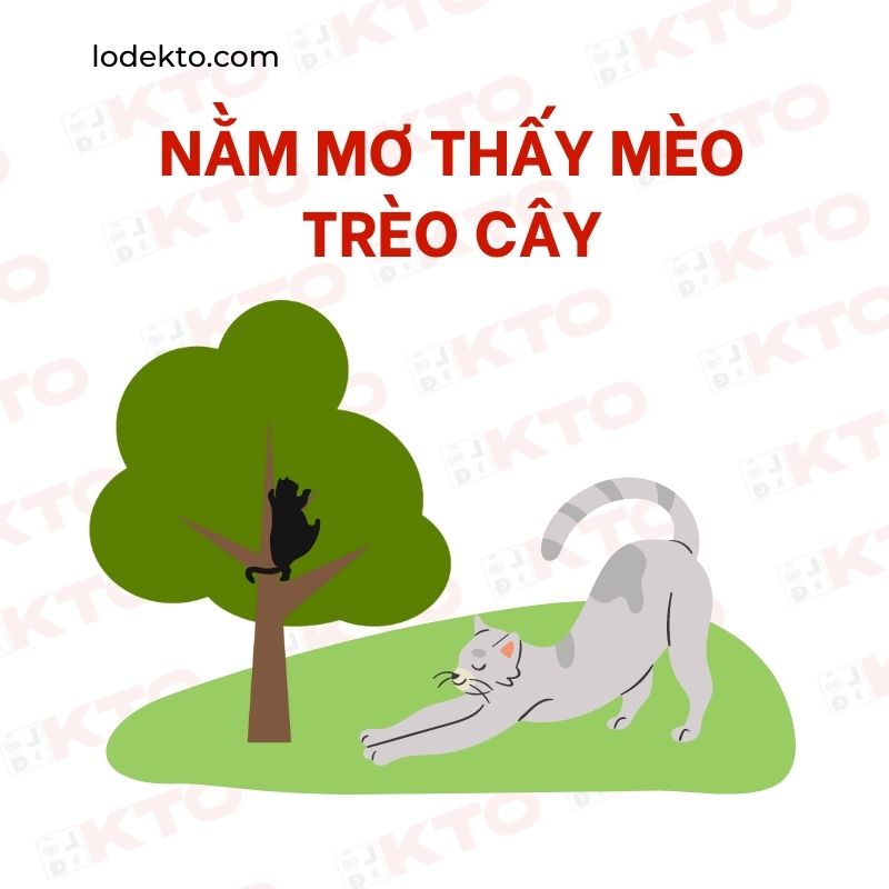hình ảnh mèo trèo cây